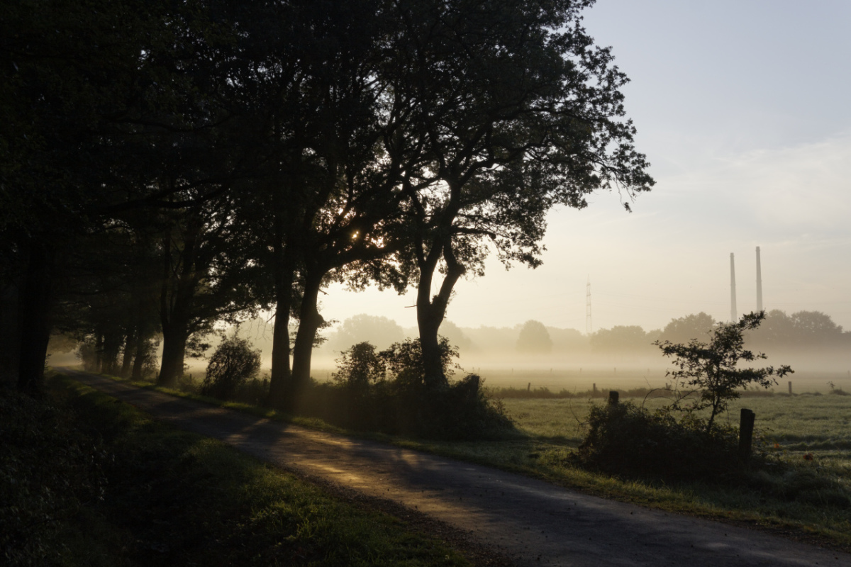 Kirchhellen am Morgen